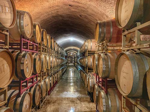 wine-ind